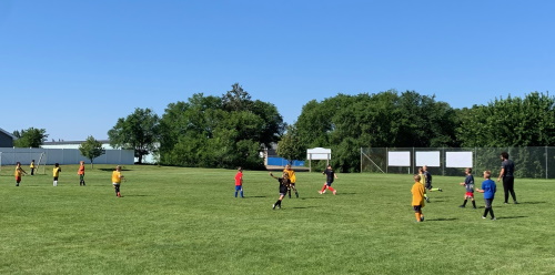 Action Shot at Camp